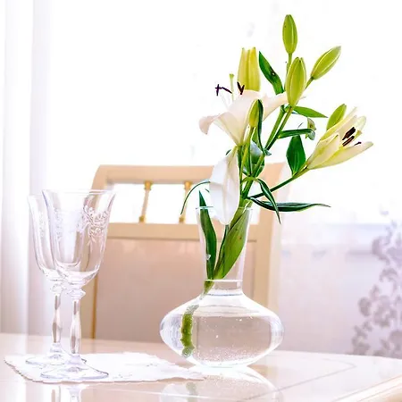 Апартаменты Mandalina *